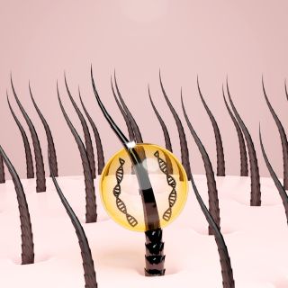 Nutre il cuoio capelluto